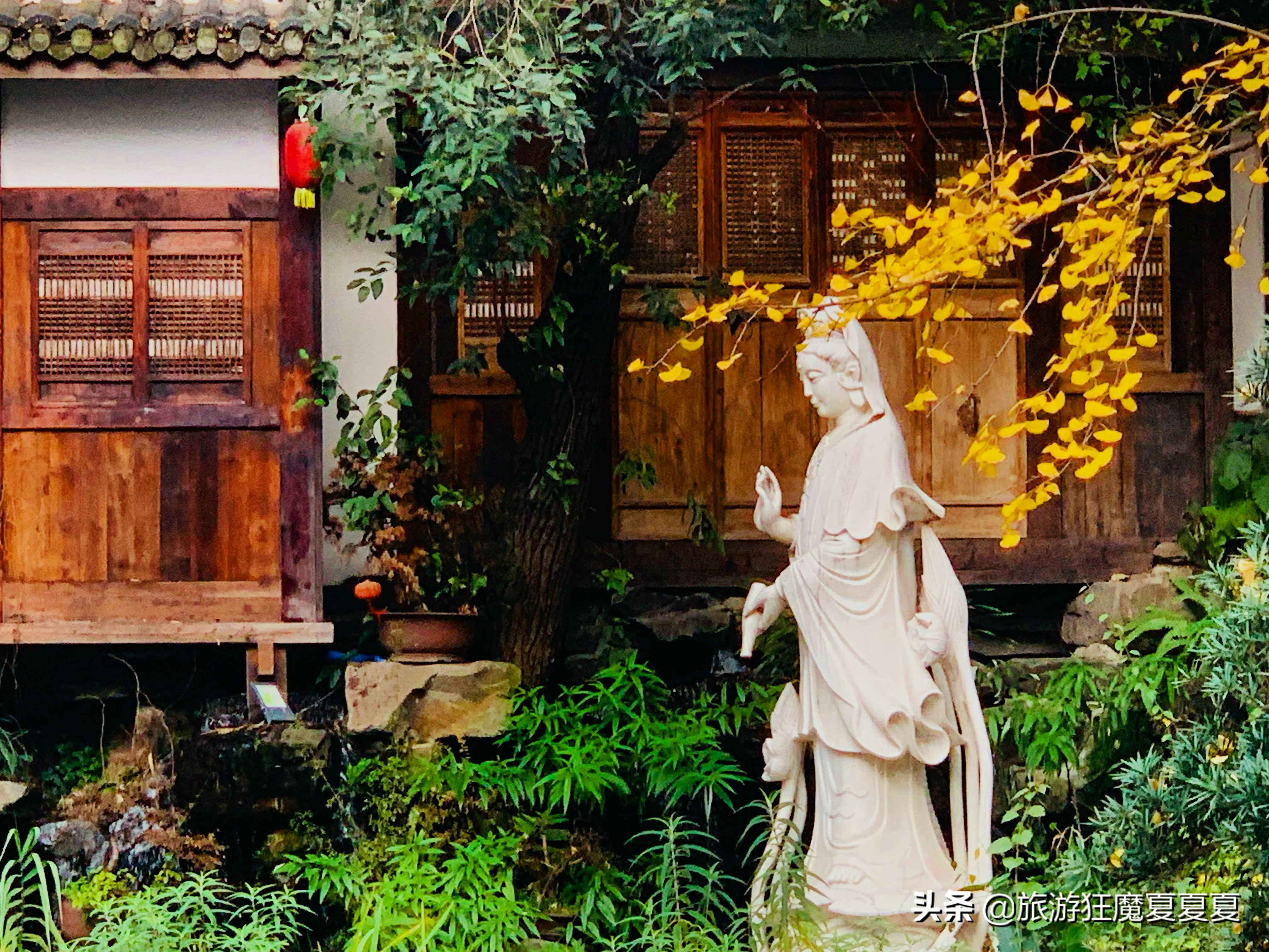 成都荷花池周围游玩,成都荷花池周围的景点