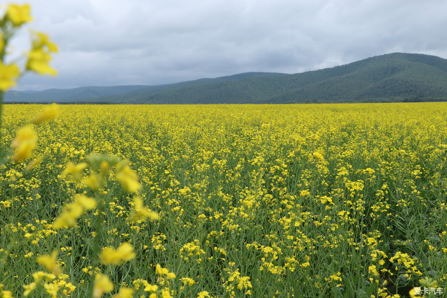 自驾囧途时刻,自驾游闯关东视频
