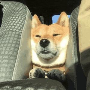 dior买口红有送什么东西,dior买口红送马鞍包