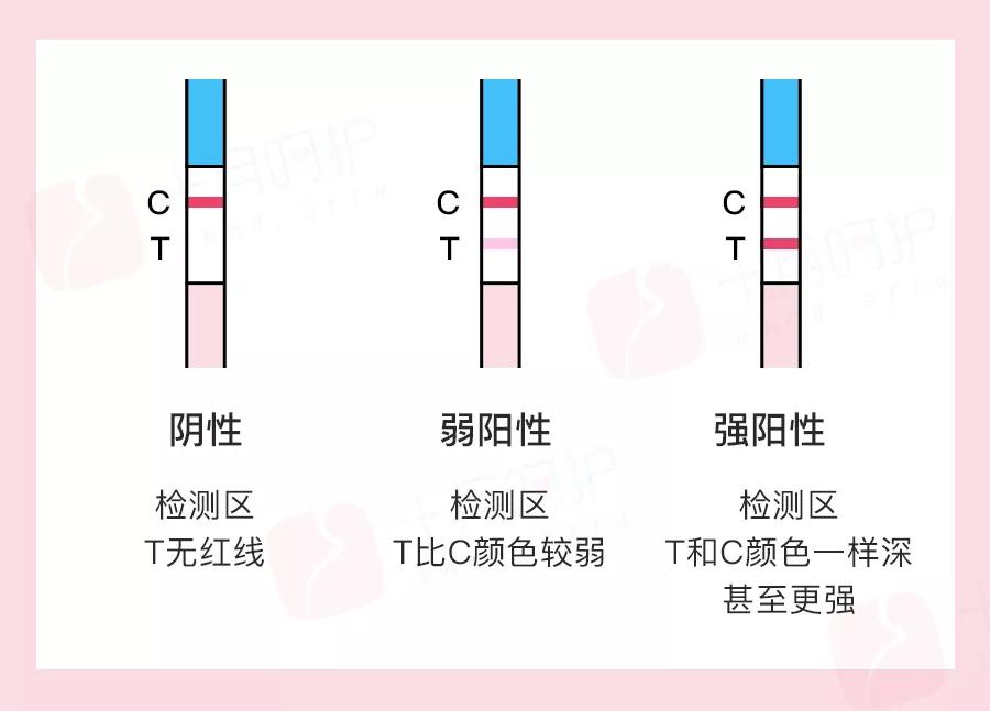 37岁快速受孕,子宫后位如何快速受孕