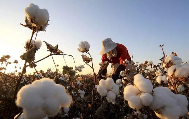 唐朝诗人王建的一生,唐朝末年王建
