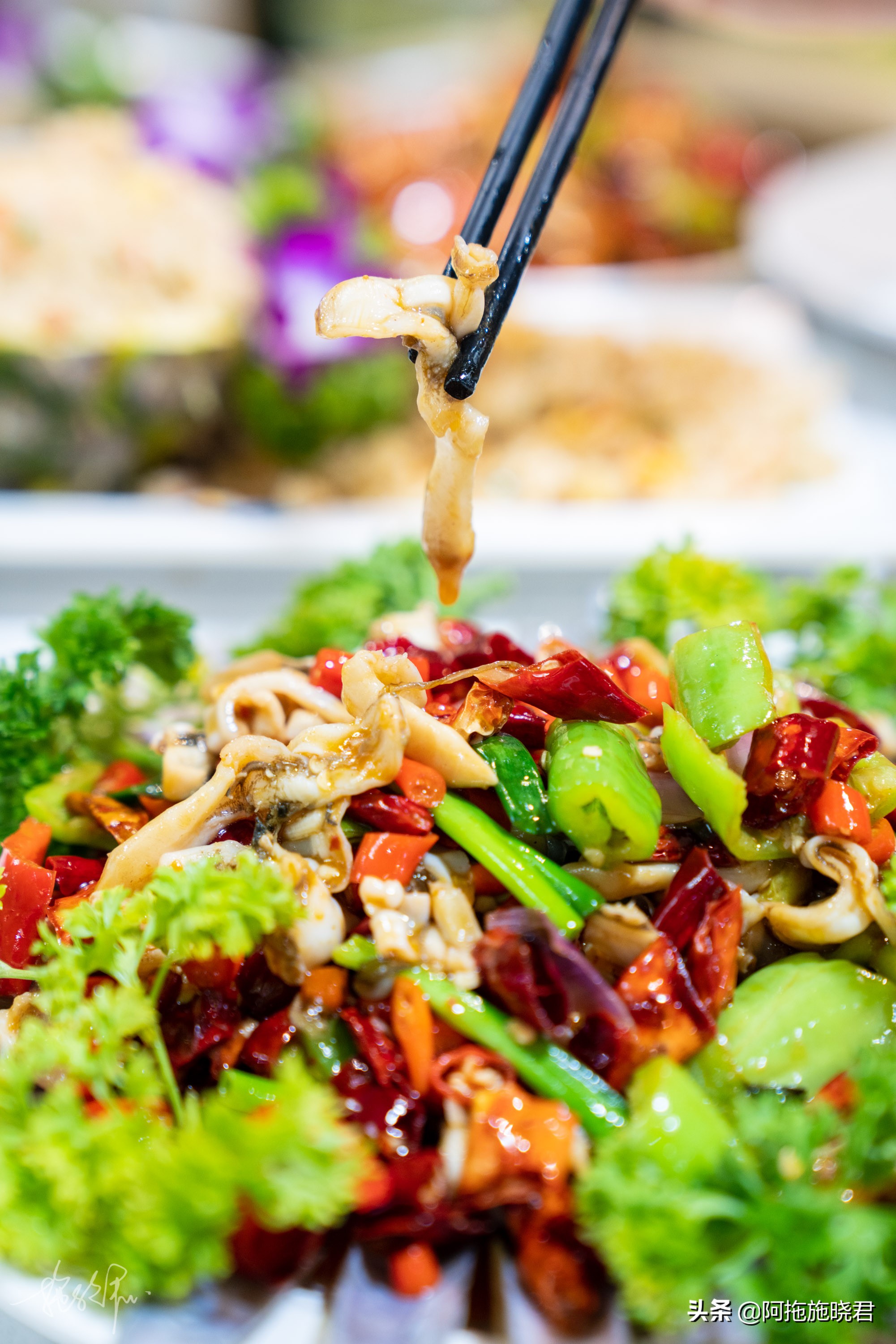 三亚避寒15天游玩攻略,三亚避寒游攻略