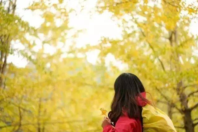 这个秋季,度假就选韶关,美轮美奂,山美水美人更美