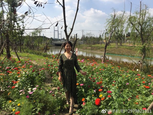 上海浦江附近好玩的地方,上海浦江镇最繁华的地方