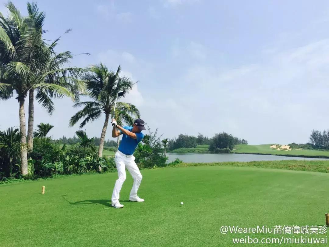 黄宗泽吴卓羲苗侨伟tigerstalk,苗侨伟黄宗泽谁漂亮