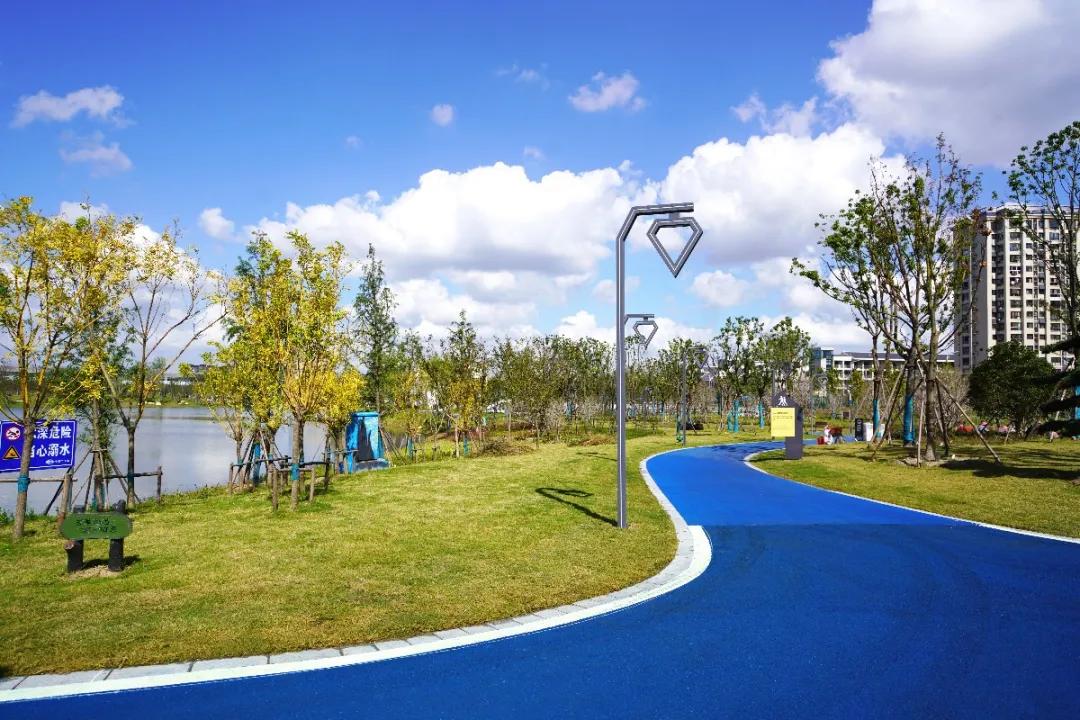 盐龙公园健身项目有哪些,盐龙体育公园室内