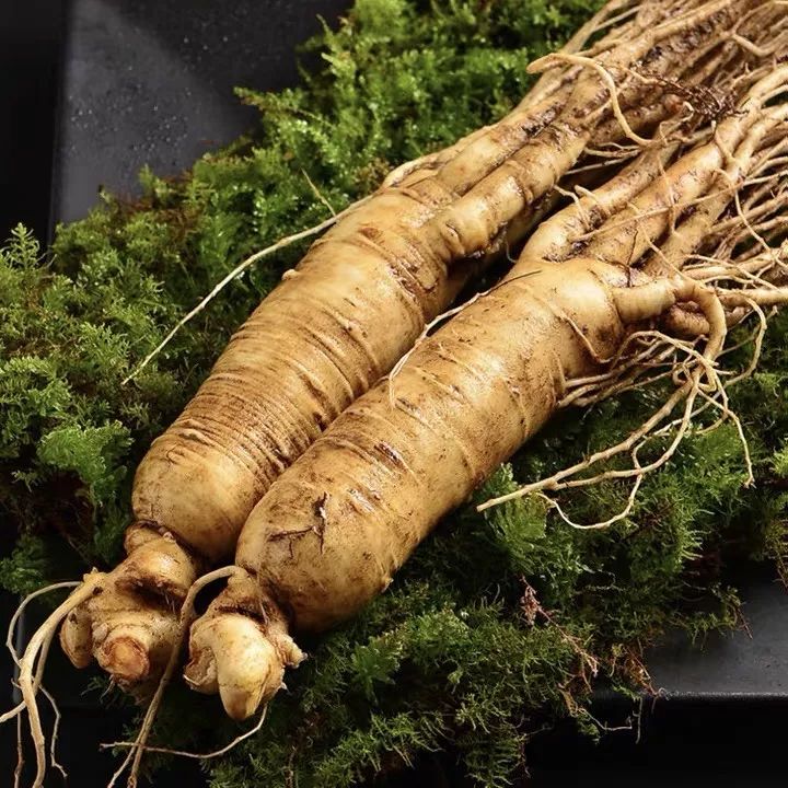 长白山鲜人参煲鸡,长白山精品袋装鲜人参炖鸡