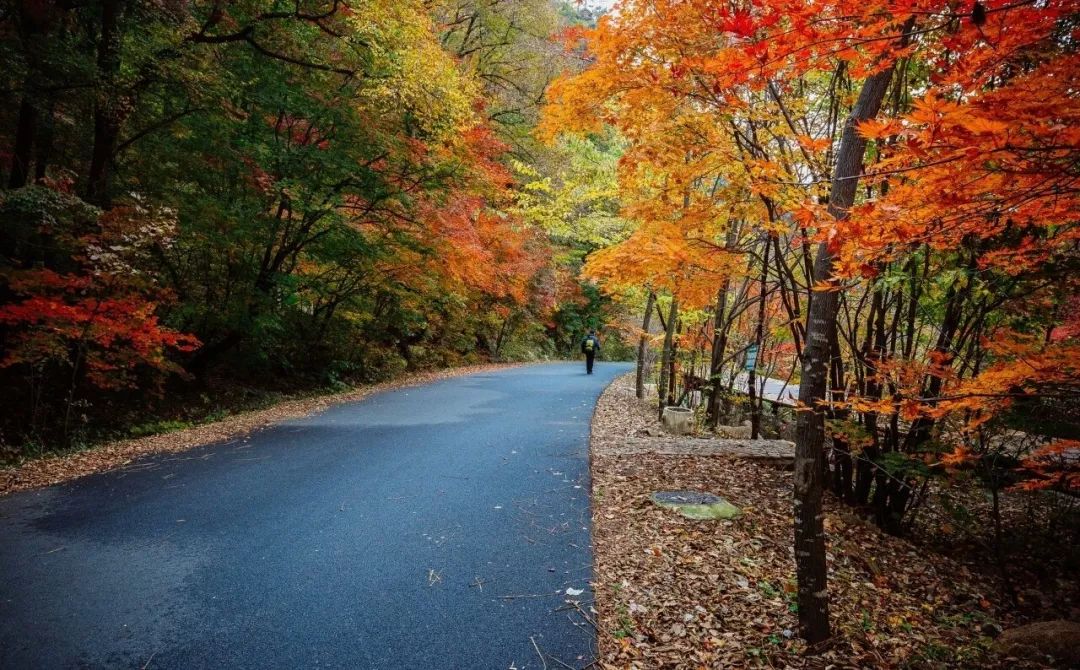跳跃的乐章,跳跃的旋律原唱