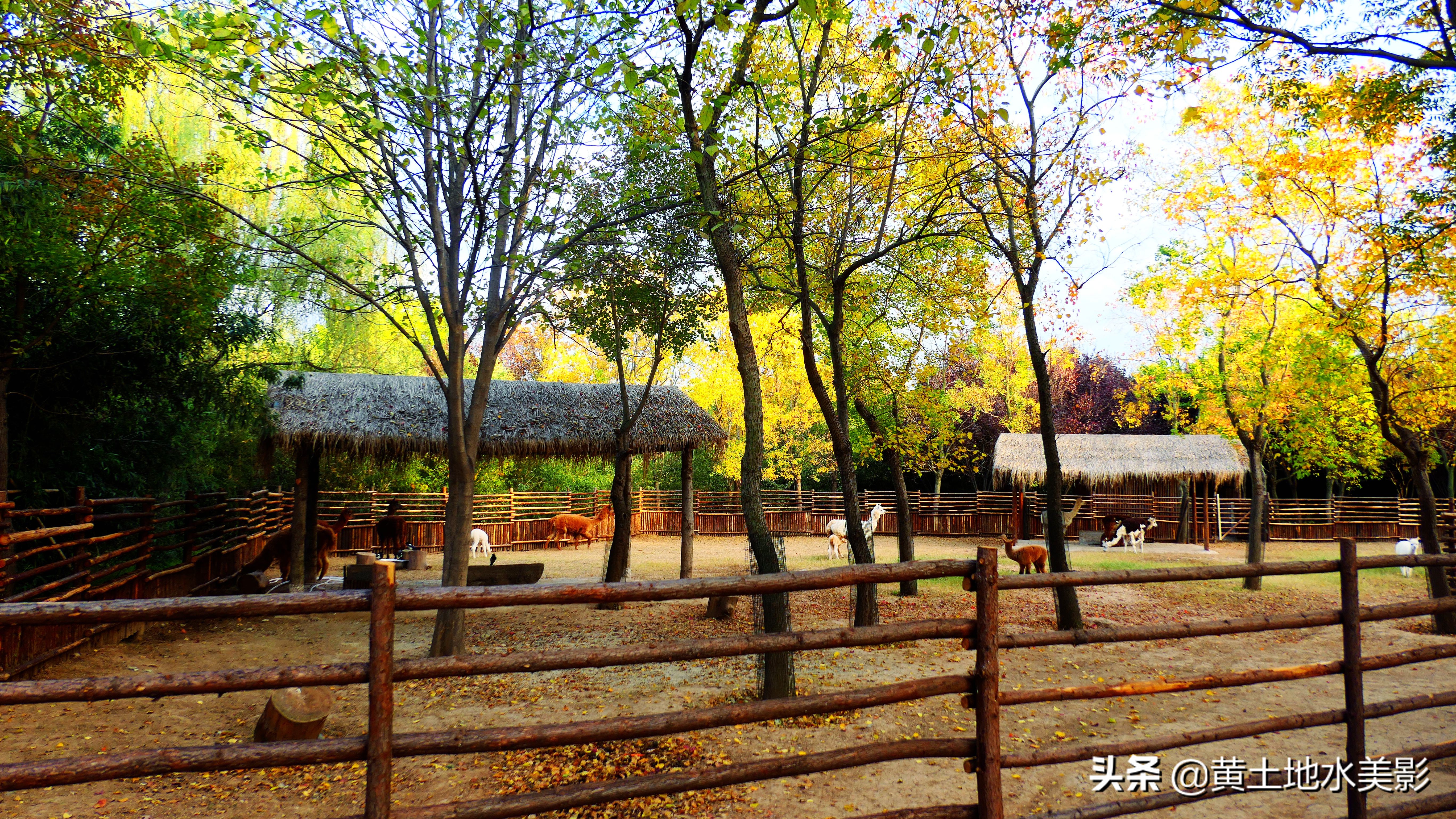 免费游玩东湖公园攻略,免费湿地公园游乐景点