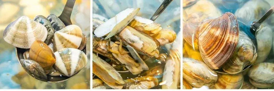 魔都200块钱的菜,200块一个菜高端美食