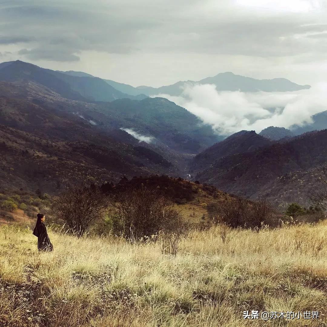 山川异域风月同天文化自信,山川异域风月同天中日
