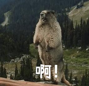 真正有用的脱毛,哪些地方能脱毛