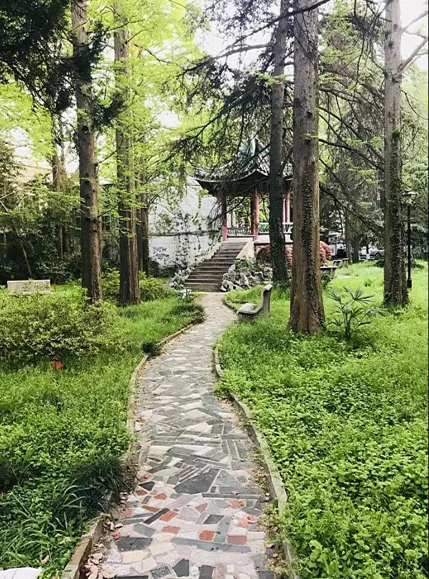 在南京师范大学就读是一种什么体验？