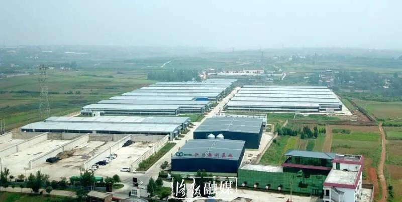 打工仔当上年薪百万公司老总,打工仔当上老板化身百万富翁