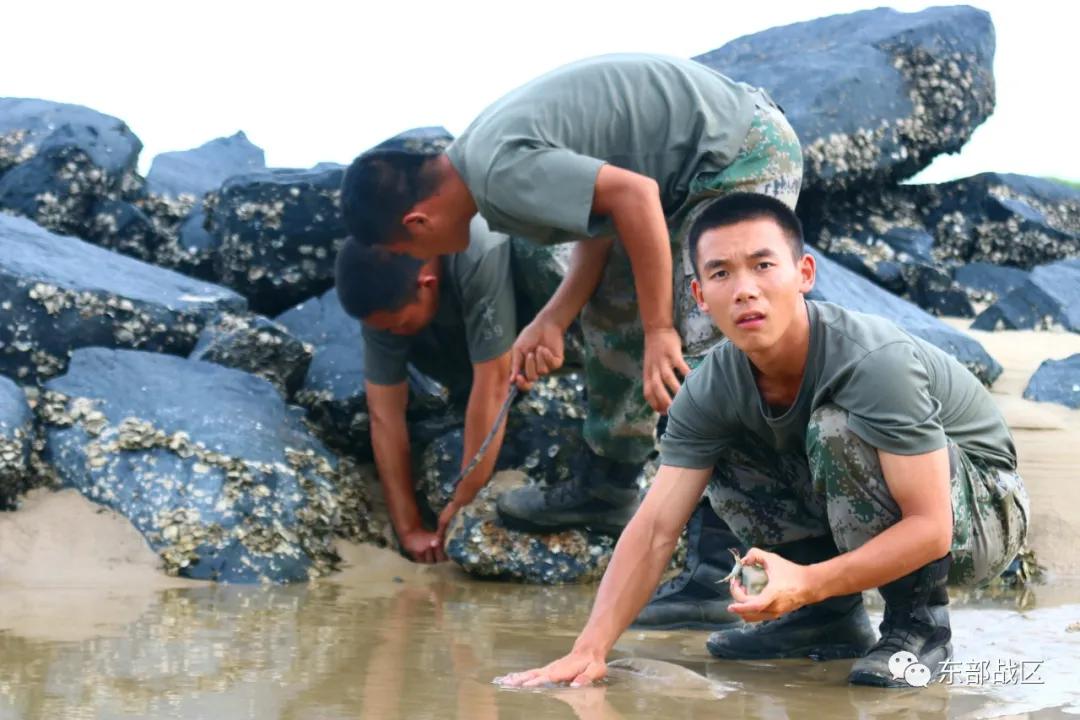 当烧烤遇到西红柿,当烧烤遇到夕阳