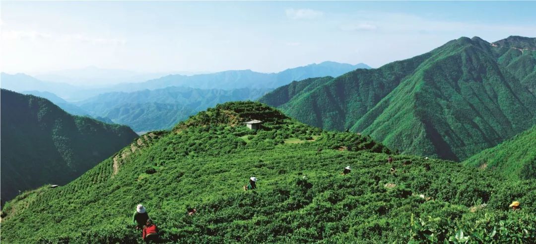 鑼楄竟璇磋尪,鑼楄竟