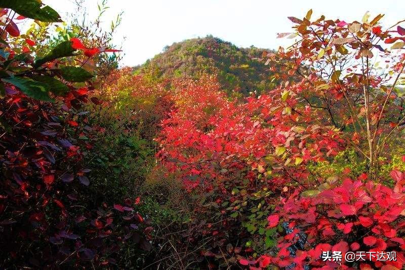 走遍中国湖北郧县,走遍竹山