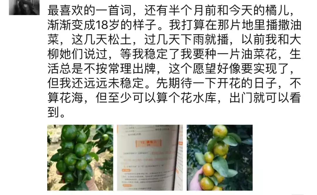 农大毕业怎么找工作,农大毕业现状