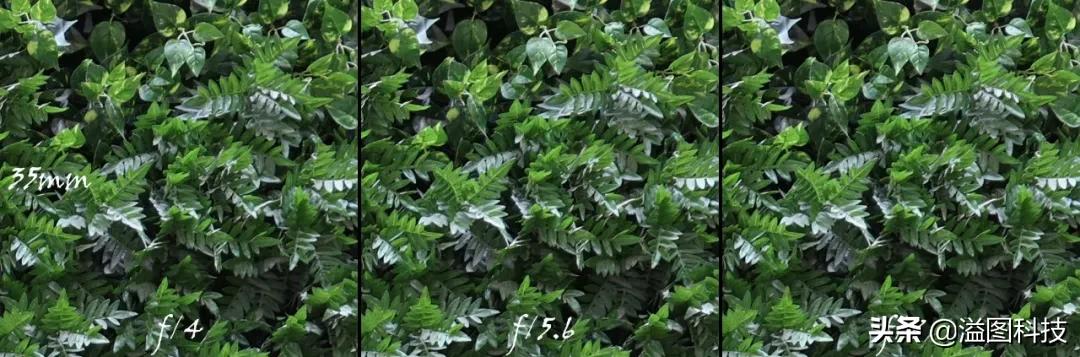 佳能rf351.4镜头评测,佳能rf14-35mmf4拍摄效果