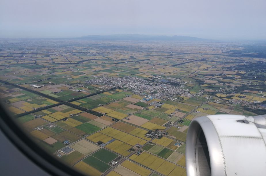 什么时候去日本旅游最合适,什么时间去日本机票便宜