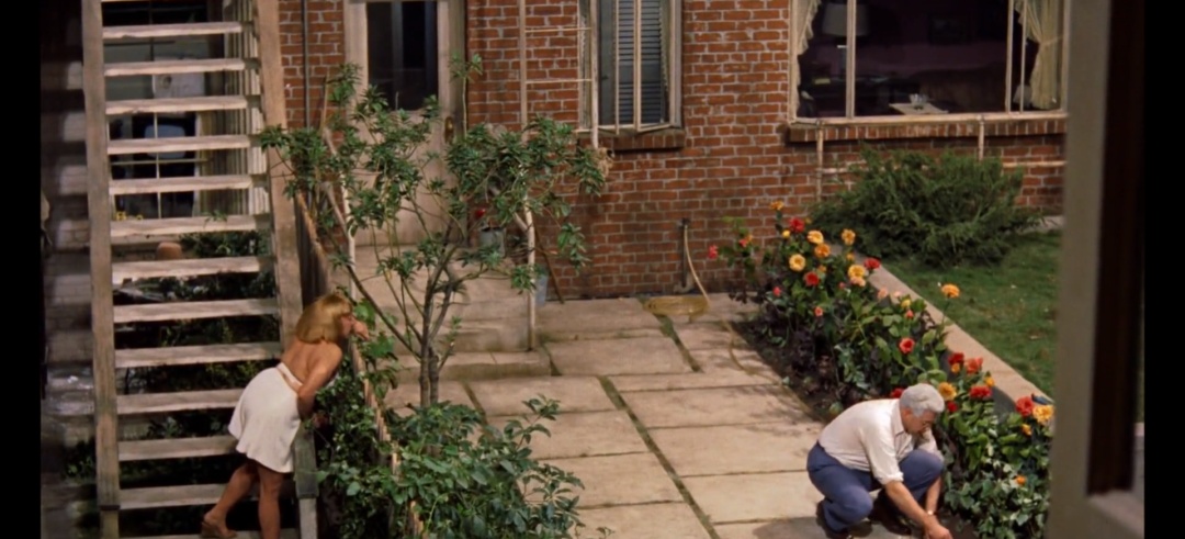 希区柯克经典电影后窗,希区柯克后窗艺术