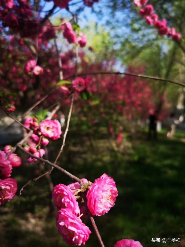 女方母亲结婚十大条件,结婚十大条件