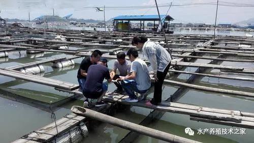 养殖技术及发展趋势,节约型养殖技术大全