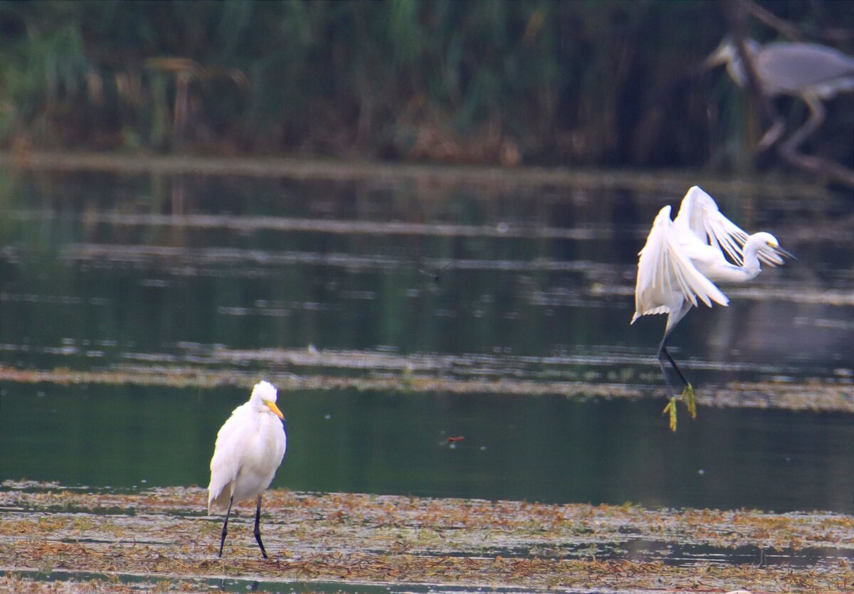 超越三峡的超级工程,中国耗资40000亿的超级工程视频