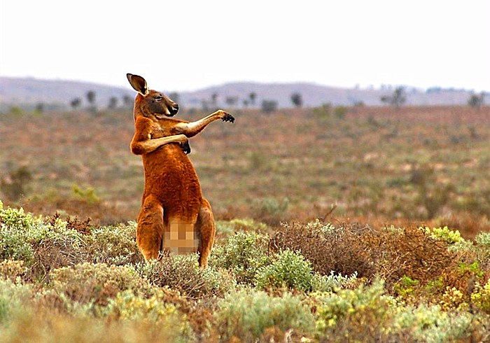 怀胎三年故事,怀胎四年的故事