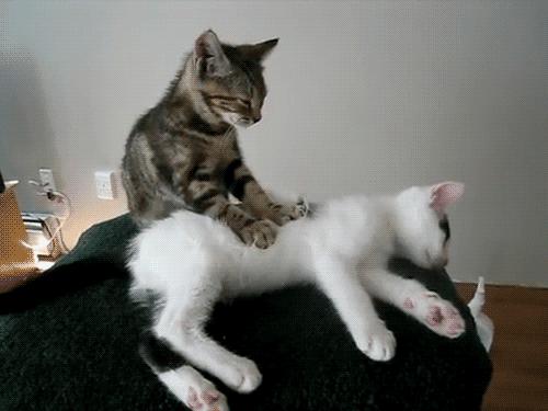 为什么我劝你别轻易get杨幂同款,杨幂同款有些什么