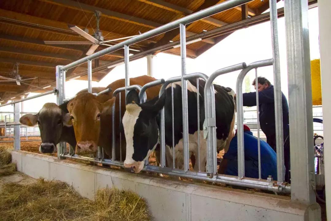 富二*开代**超市，情人节为单身狗开Party，年赚25亿