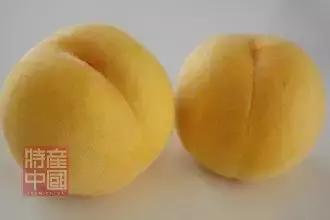 世界稀奇水果品种大全,世界热带奇特水果品种介绍