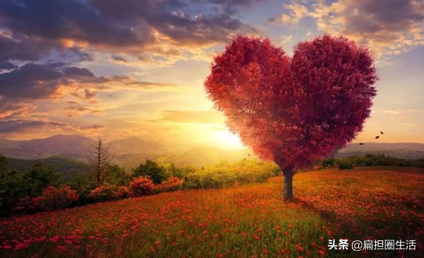 致橡树最好的部分,致橡树最好的爱情是与你并肩站立