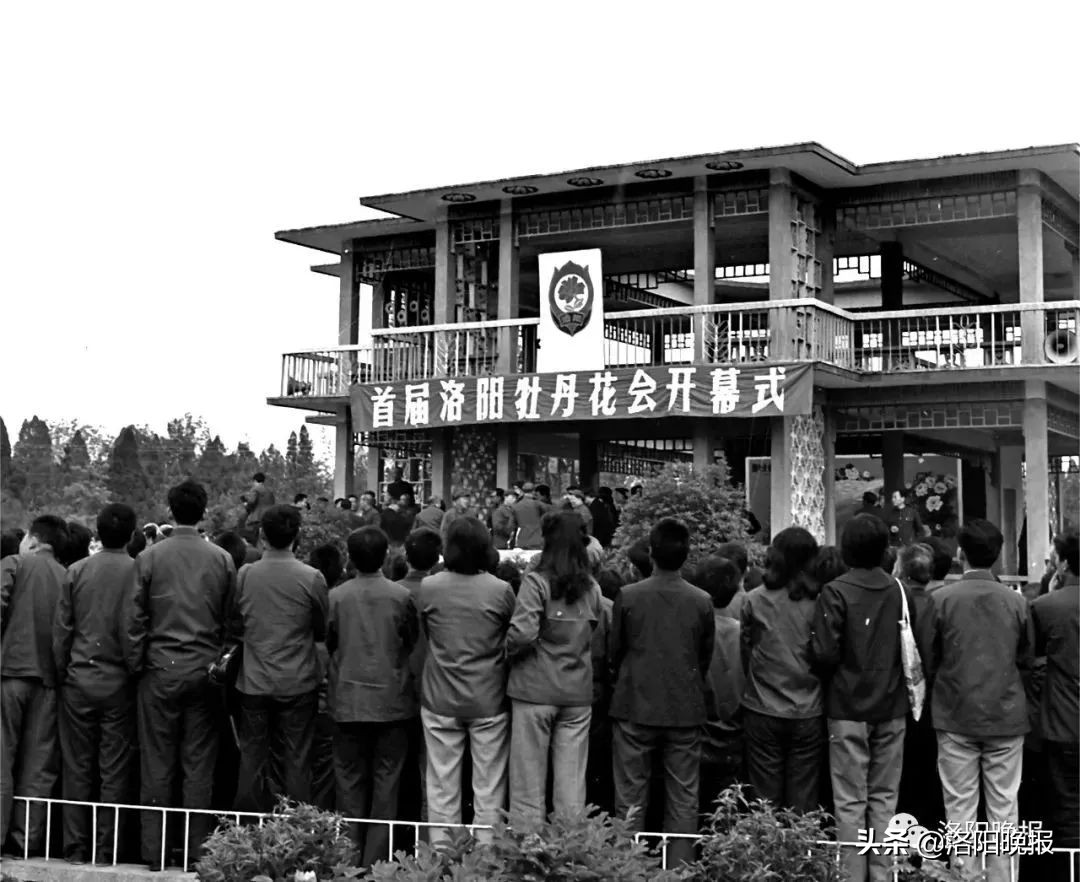 一分钟看河南洛阳,一日看遍洛阳