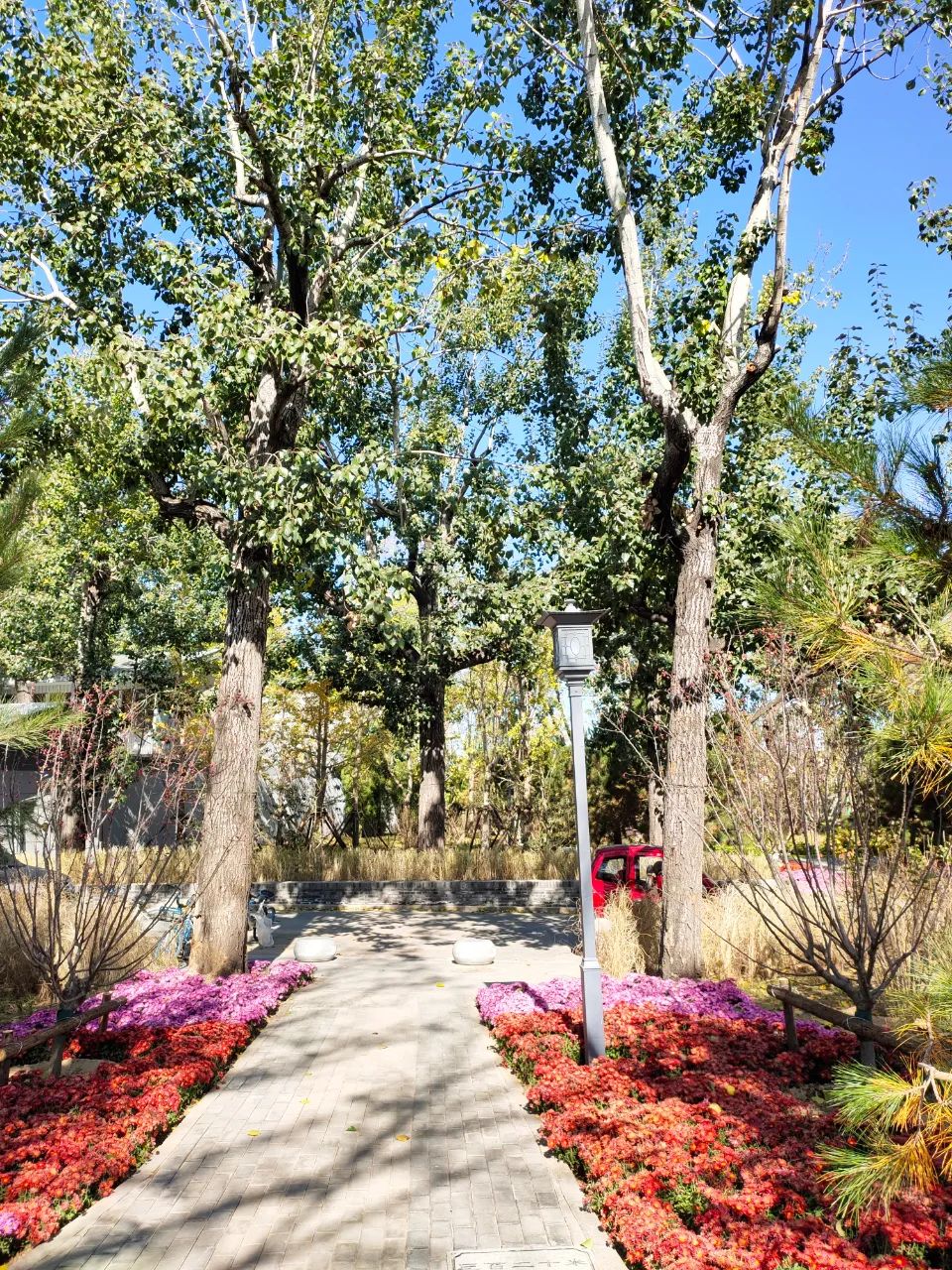 天坛公园周边,天坛旁边的公园