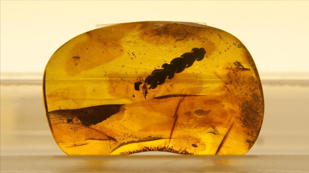 发展遇到瓶颈期,打破发展瓶颈的方法