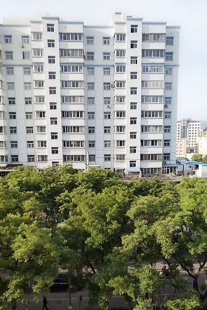 甘谷金山农民作家张志刚,甘谷徒步张志刚