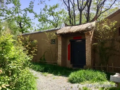 品子午樱桃，游千年古镇