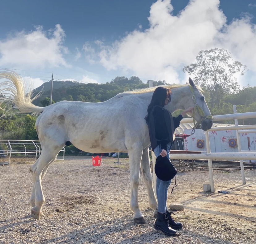骑马的乐趣图片大全,骑马的乐趣在哪里
