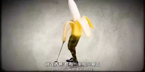 孩子暑期必看的50部神级纪录片,适合孩子和家长一起看的纪录片