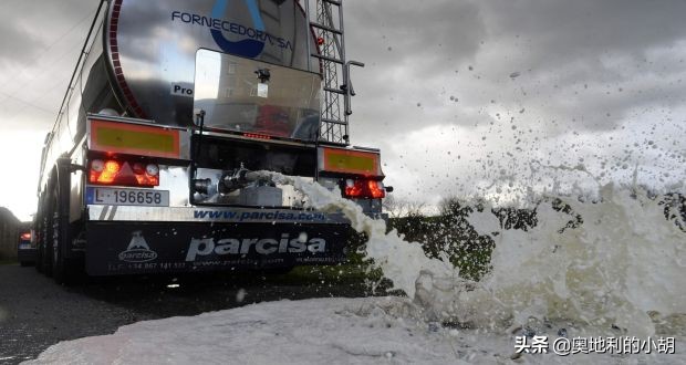 牛奶到底哪个味才是正宗的,牛奶哪种健康安全