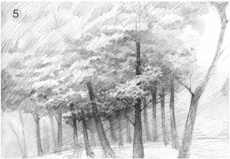 素描画画教程7-12岁素描风景画,2023年趣味素描风景画教程ppt