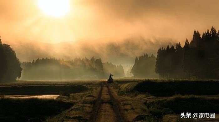 实体店家电人的心酸,家电零售商到底挣钱不挣钱