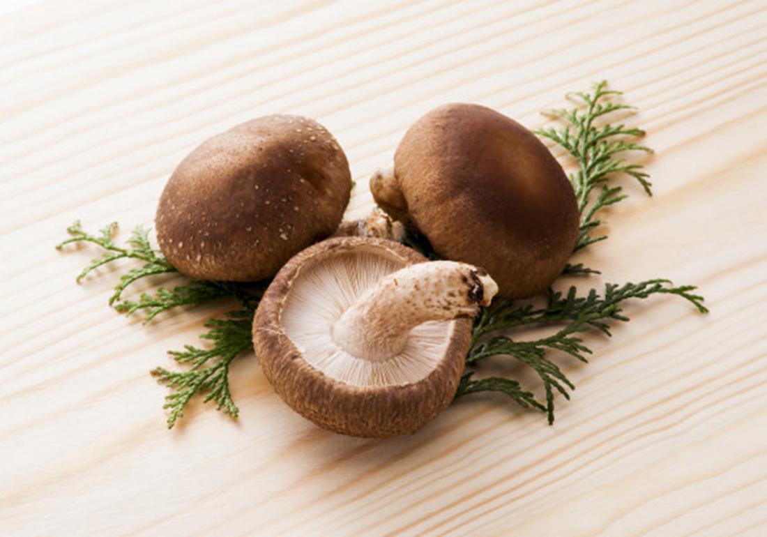 香菇种植怎么预防霉菌,香菇杂菌防治小妙招