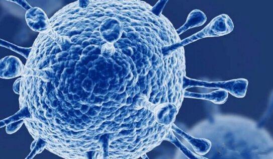 准妈妈查出来hpv,准妈妈孕检有这三种结果