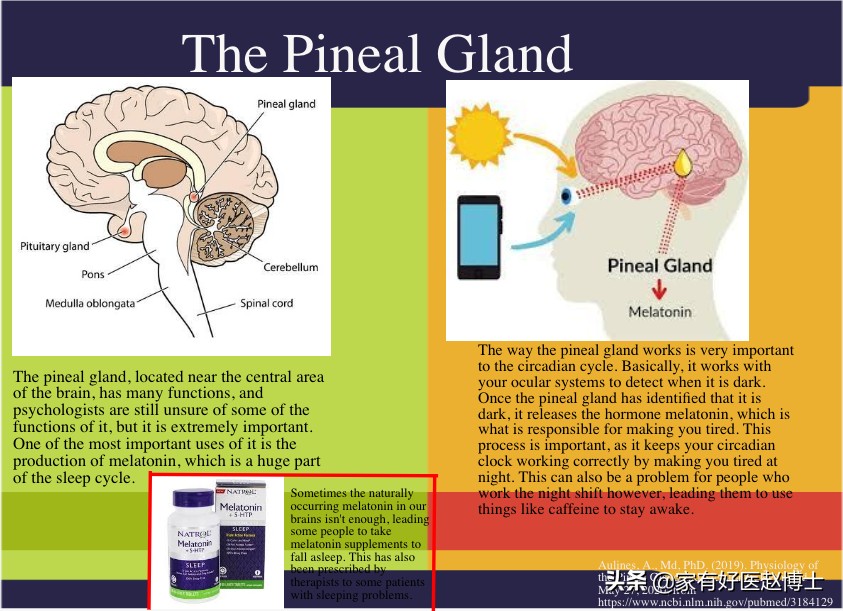 被称为“生理助眠剂”的褪黑素普通片，为何不少人口服效果不佳？
