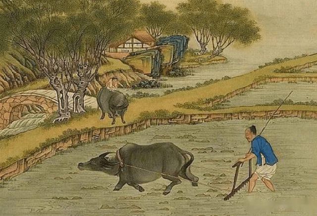 有机蔬菜是不是智商税,为什么说有机蔬菜是交智商税