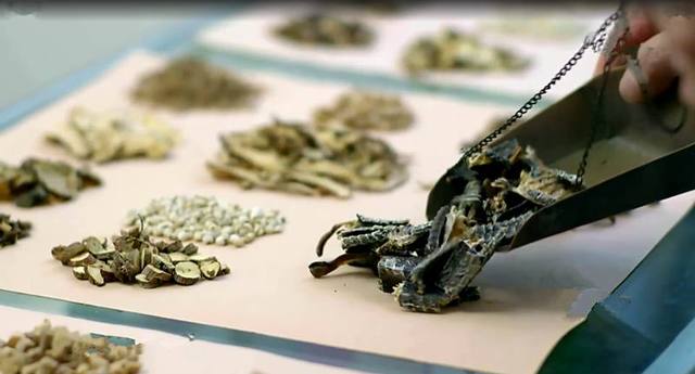 捕蛇奇人,湖南捕蛇奇人视频