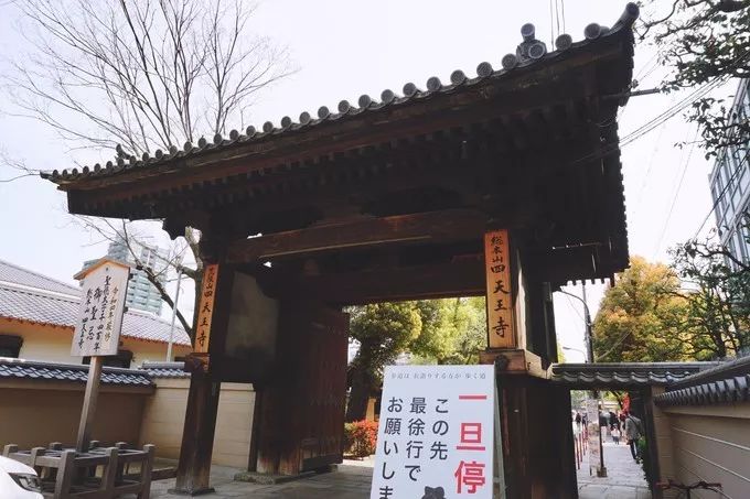 日本的樱花又开了哦,日本樱花又开了是什么梗