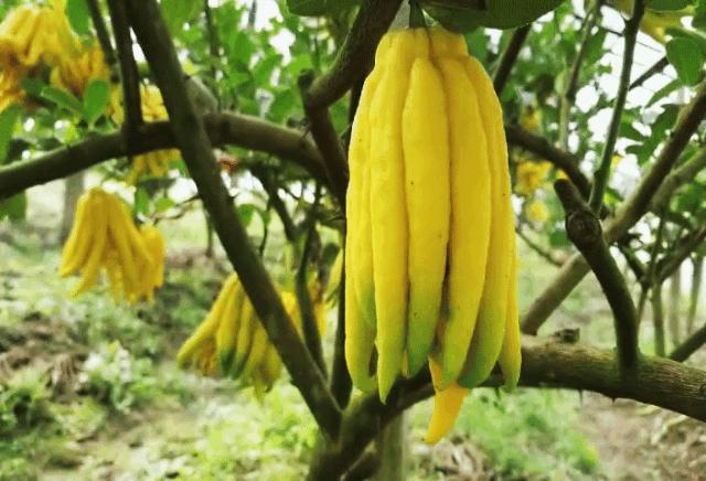 早餐太重要吃什么好,早餐很重要关键还不贵